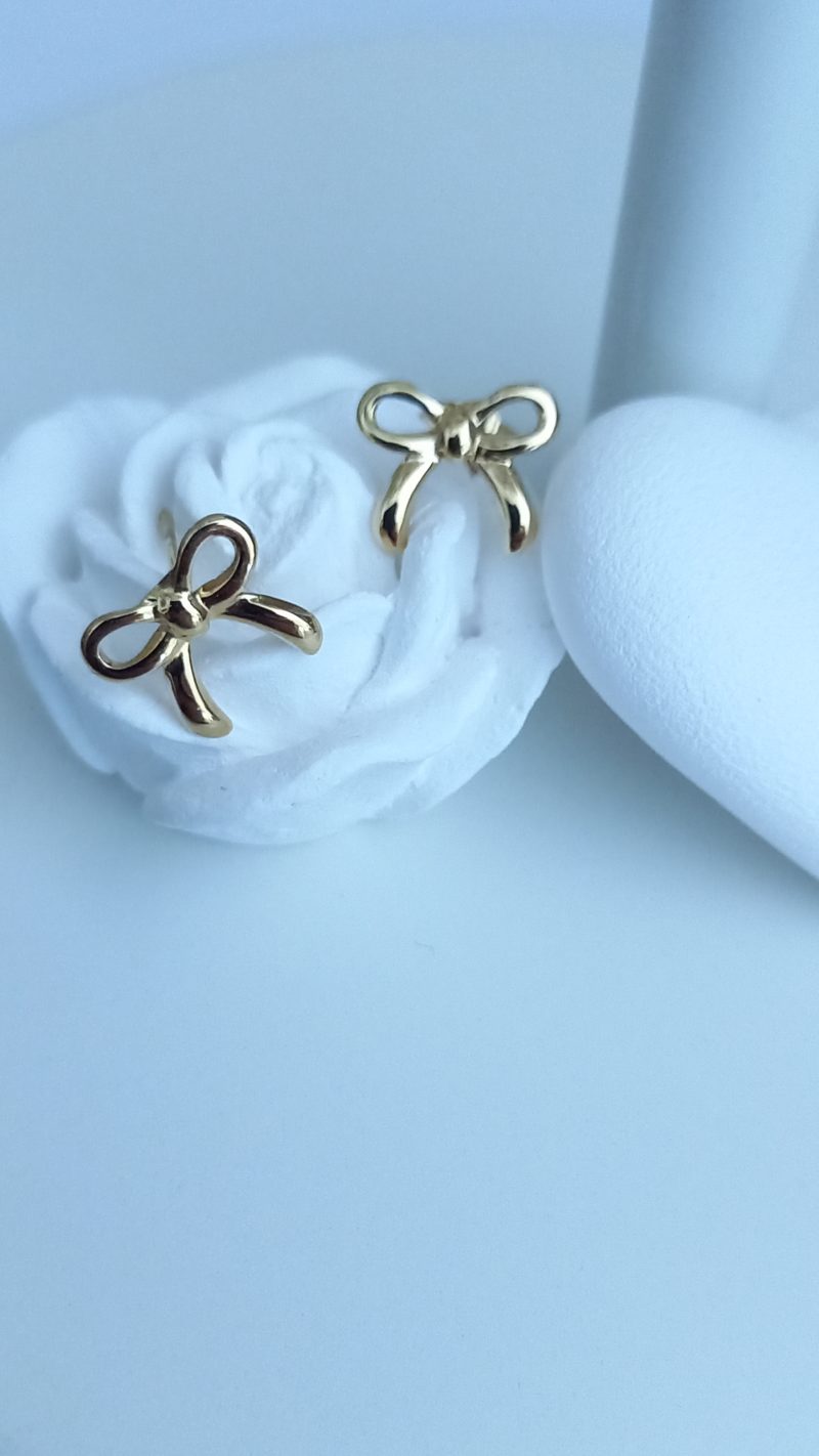 Boucles d’oreilles en acier inoxydable - Sia